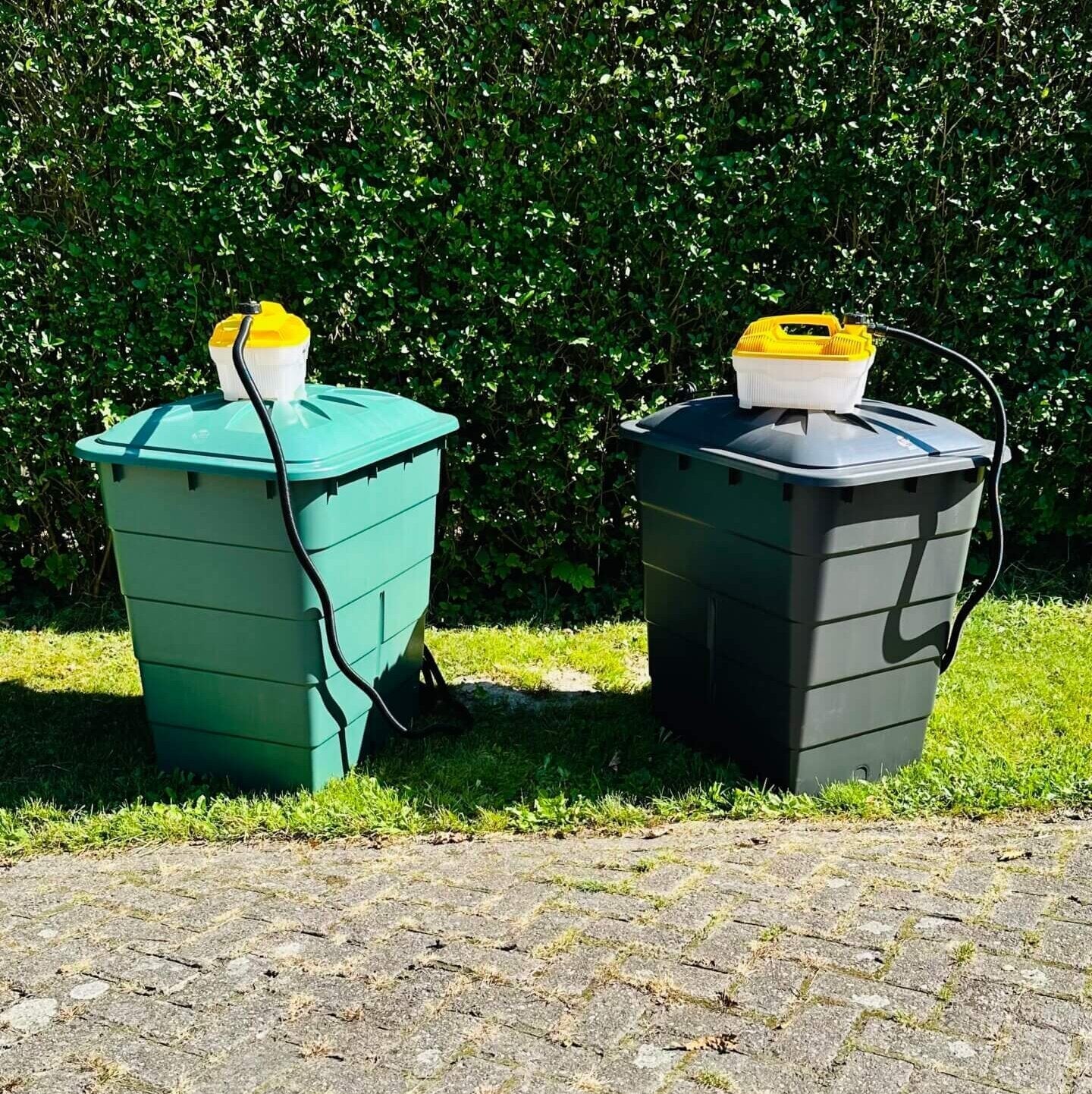 Hooistomers Premium of Standaard