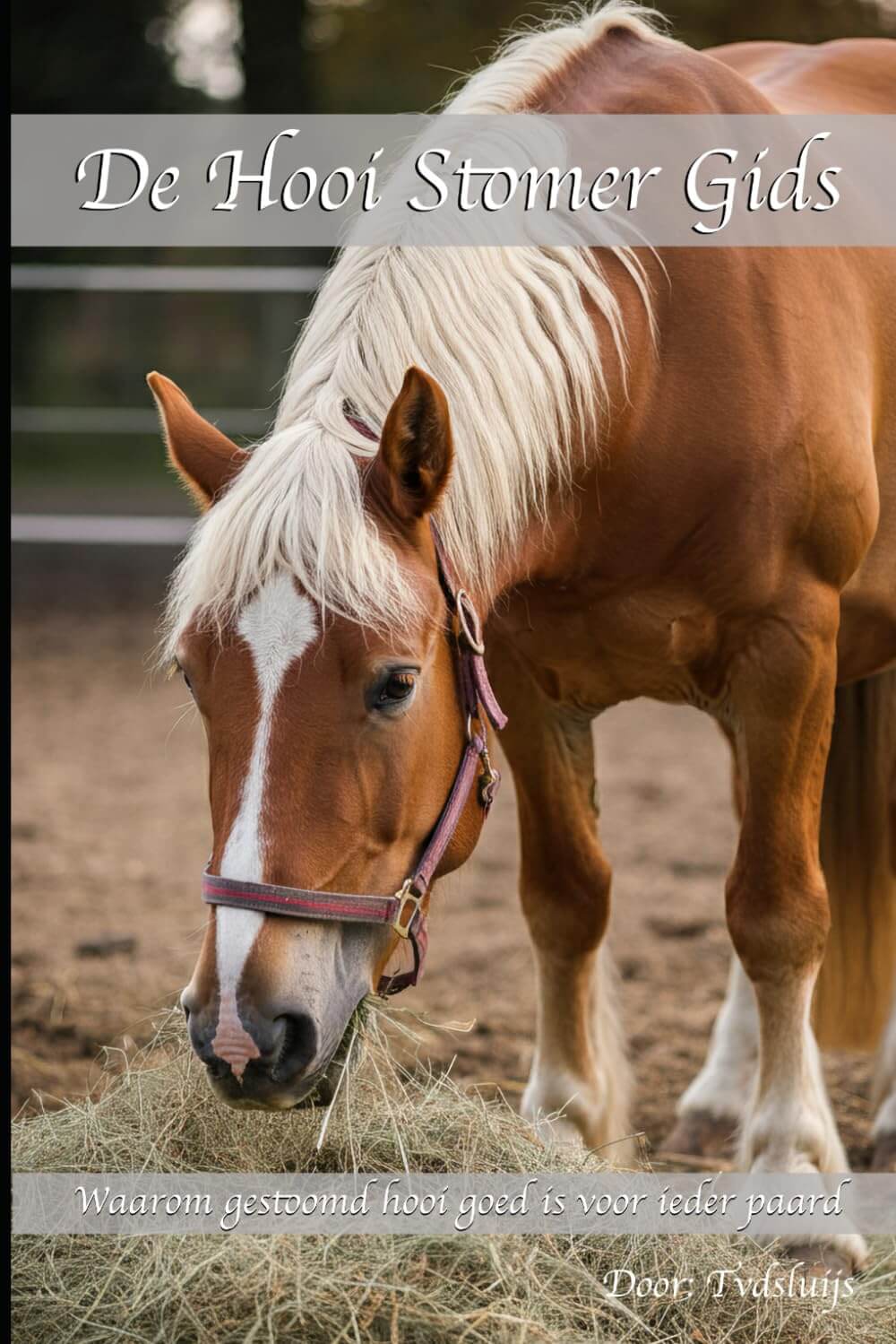 Heudampfer De Ton - Deluxe-Set