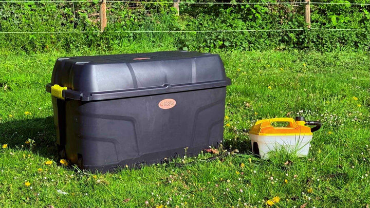 Zwarte hooistomer de krui 